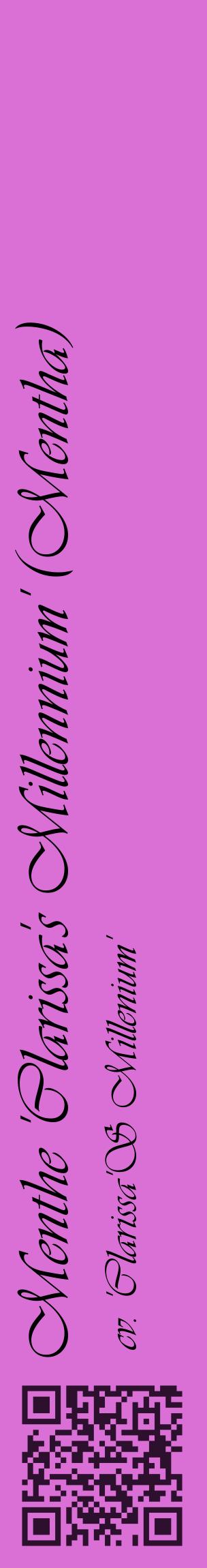 Étiquette de : Mentha cv. 'Clarissa'S Millenium' - format c - style noire52_basiqueviv avec qrcode et comestibilité