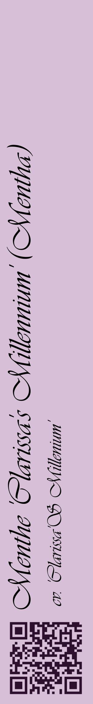 Étiquette de : Mentha cv. 'Clarissa'S Millenium' - format c - style noire54_basiqueviv avec qrcode et comestibilité