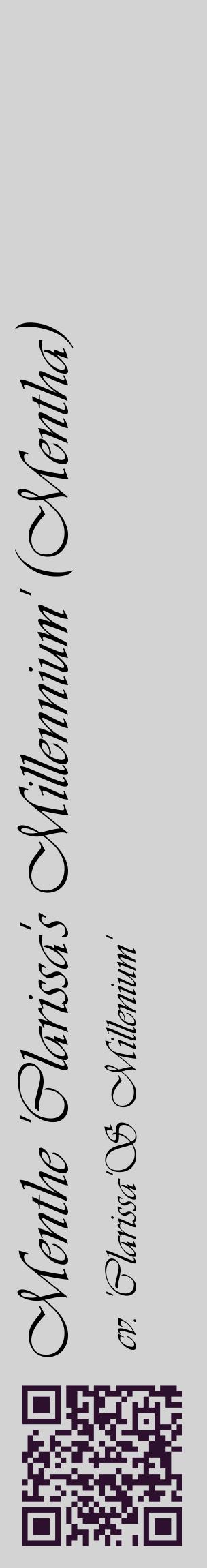 Étiquette de : Mentha cv. 'Clarissa'S Millenium' - format c - style noire56_basiqueviv avec qrcode et comestibilité