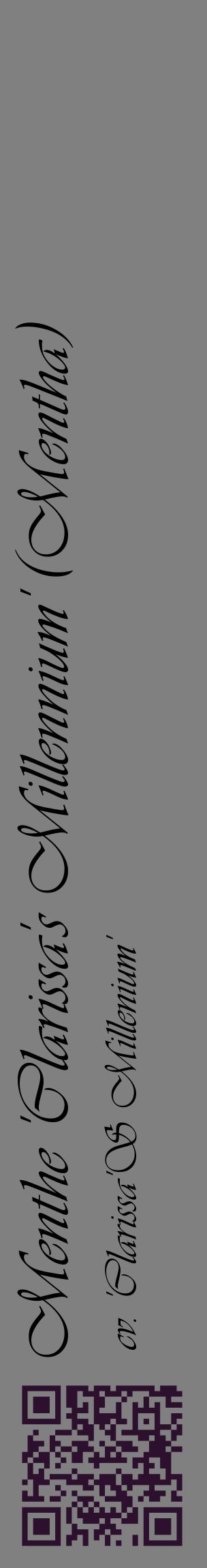 Étiquette de : Mentha cv. 'Clarissa'S Millenium' - format c - style noire57_basiqueviv avec qrcode et comestibilité