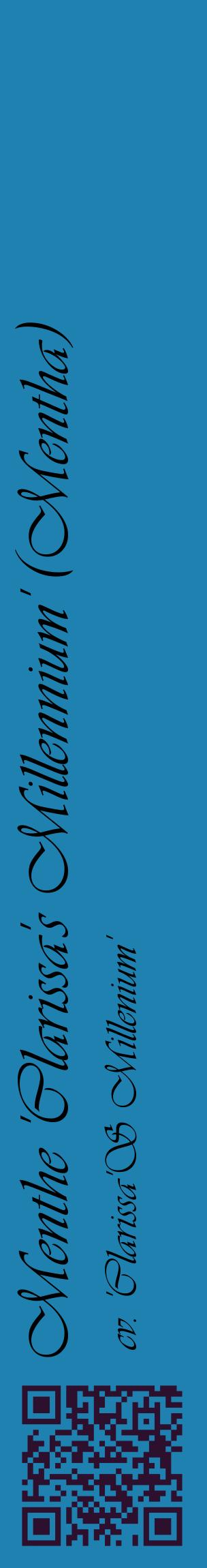 Étiquette de : Mentha cv. 'Clarissa'S Millenium' - format c - style noire6_basiqueviv avec qrcode et comestibilité