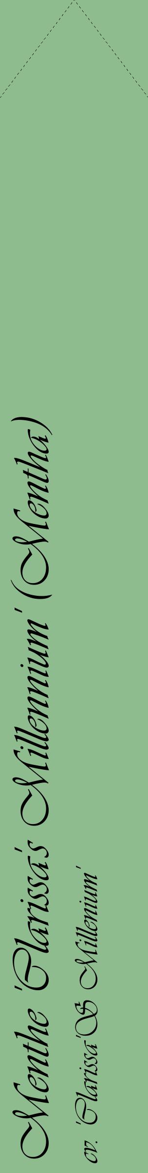Étiquette de : Mentha cv. 'Clarissa'S Millenium' - format c - style noire13_simpleviv avec comestibilité