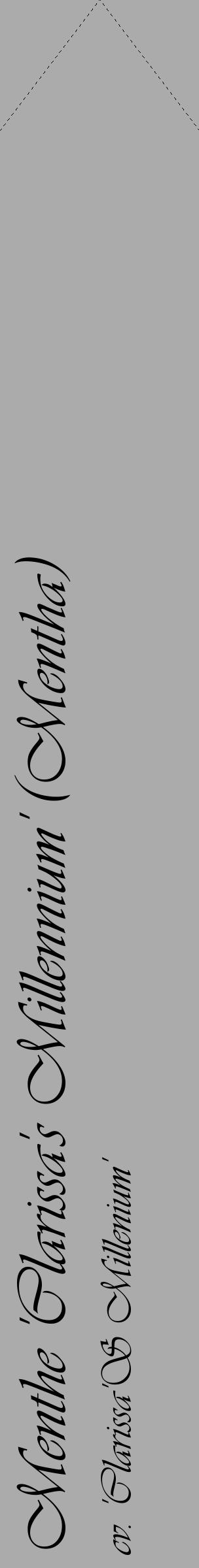 Étiquette de : Mentha cv. 'Clarissa'S Millenium' - format c - style noire37_simple_simpleviv avec comestibilité - position verticale