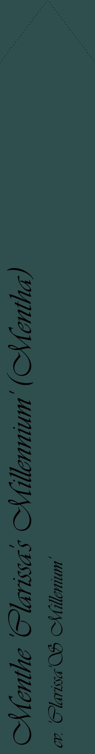 Étiquette de : Mentha cv. 'Clarissa'S Millenium' - format c - style noire58_simpleviv avec comestibilité