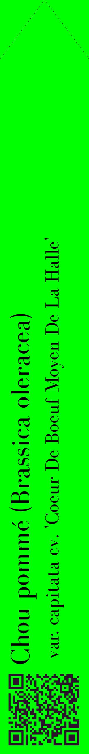 Étiquette de : Brassica oleracea var. capitata cv. 'Coeur De Boeuf Moyen De La Halle' - format c - style noire16_simplebod avec qrcode et comestibilité