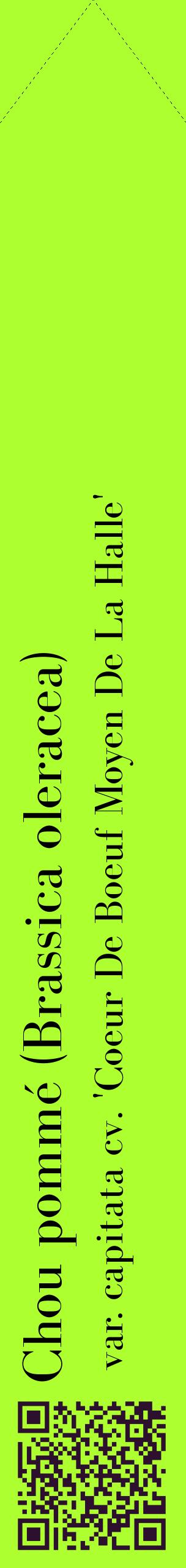 Étiquette de : Brassica oleracea var. capitata cv. 'Coeur De Boeuf Moyen De La Halle' - format c - style noire17_simplebod avec qrcode et comestibilité