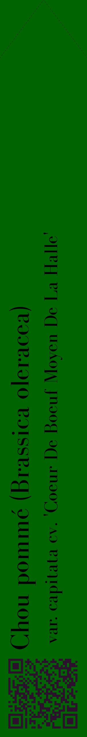 Étiquette de : Brassica oleracea var. capitata cv. 'Coeur De Boeuf Moyen De La Halle' - format c - style noire8_simplebod avec qrcode et comestibilité
