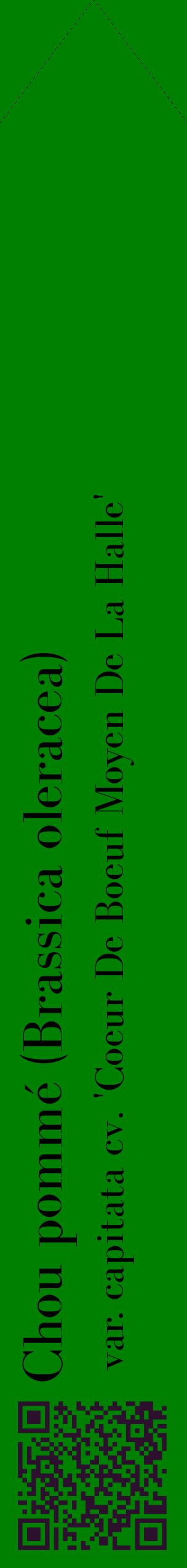 Étiquette de : Brassica oleracea var. capitata cv. 'Coeur De Boeuf Moyen De La Halle' - format c - style noire9_simplebod avec qrcode et comestibilité