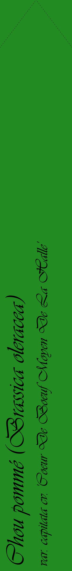 Étiquette de : Brassica oleracea var. capitata cv. 'Coeur De Boeuf Moyen De La Halle' - format c - style noire10_simpleviv avec comestibilité