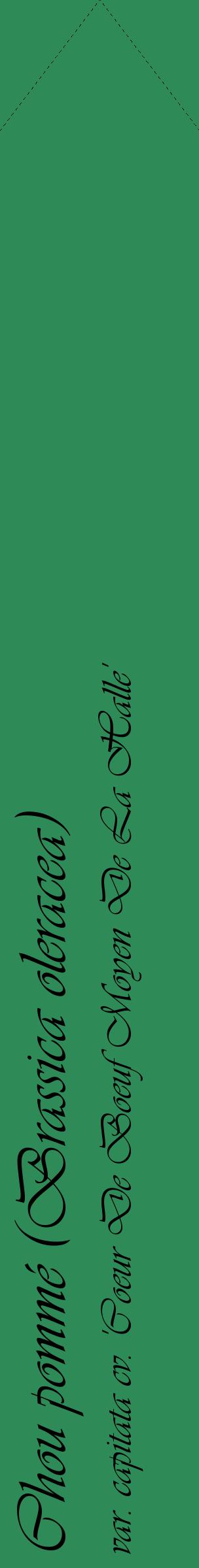 Étiquette de : Brassica oleracea var. capitata cv. 'Coeur De Boeuf Moyen De La Halle' - format c - style noire11_simpleviv avec comestibilité