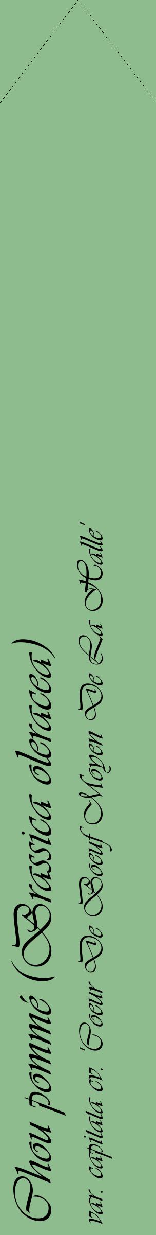 Étiquette de : Brassica oleracea var. capitata cv. 'Coeur De Boeuf Moyen De La Halle' - format c - style noire13_simpleviv avec comestibilité
