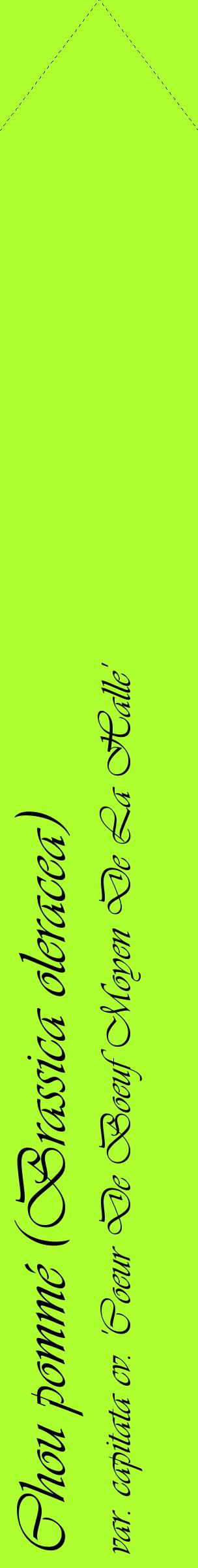 Étiquette de : Brassica oleracea var. capitata cv. 'Coeur De Boeuf Moyen De La Halle' - format c - style noire17_simpleviv avec comestibilité