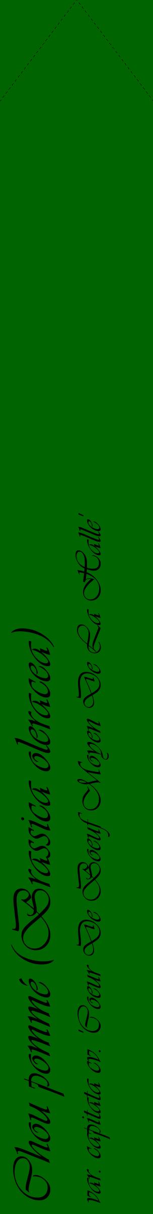 Étiquette de : Brassica oleracea var. capitata cv. 'Coeur De Boeuf Moyen De La Halle' - format c - style noire8_simpleviv avec comestibilité