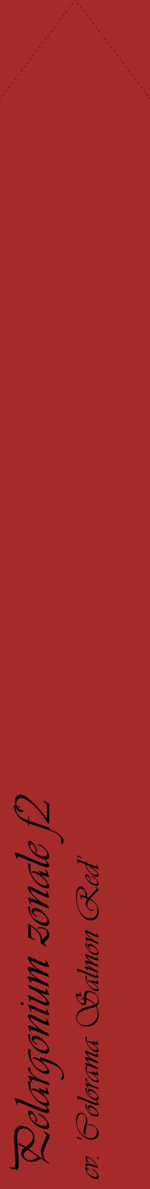 Étiquette de : Pelargonium zonale f2 cv. 'Colorama Salmon Red' - format c - style noire33_simpleviv avec comestibilité