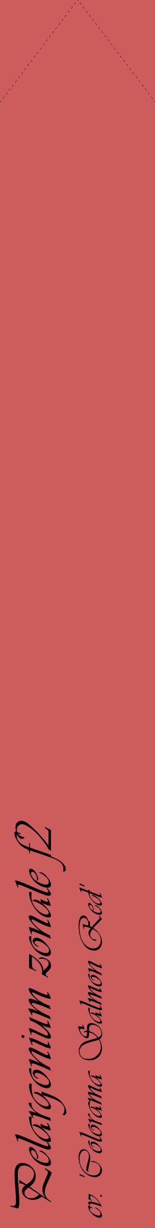 Étiquette de : Pelargonium zonale f2 cv. 'Colorama Salmon Red' - format c - style noire35_simpleviv avec comestibilité