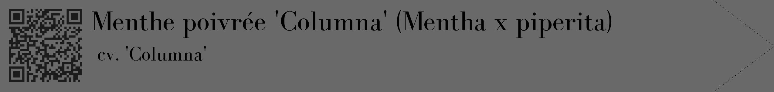 Étiquette de : Mentha x piperita cv. 'Columna' - format c - style noire11simple_simple_simplebod avec qrcode et comestibilité