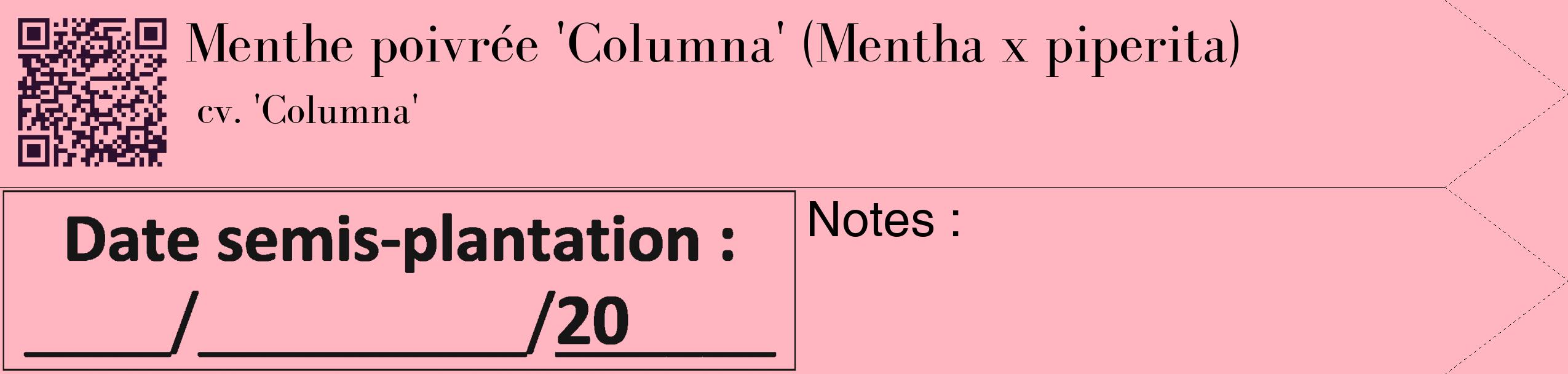 Étiquette de : Mentha x piperita cv. 'Columna' - format c - style noire41_simple_simplebod avec qrcode et comestibilité