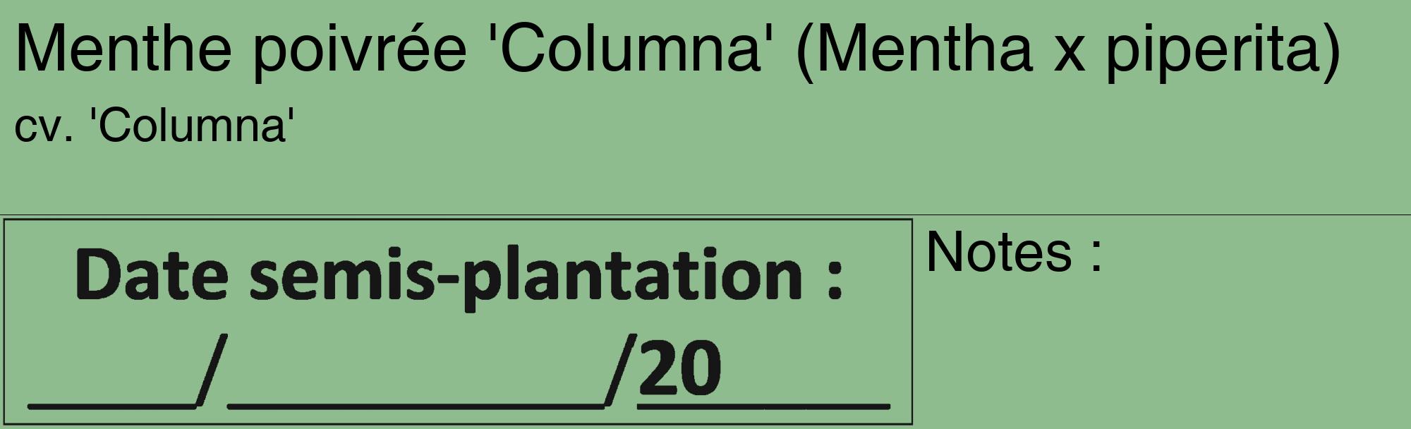 Étiquette de : Mentha x piperita cv. 'Columna' - format c - style noire13_basique_basiquehel avec comestibilité