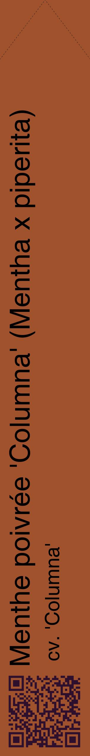 Étiquette de : Mentha x piperita cv. 'Columna' - format c - style noire32_simplehel avec qrcode et comestibilité