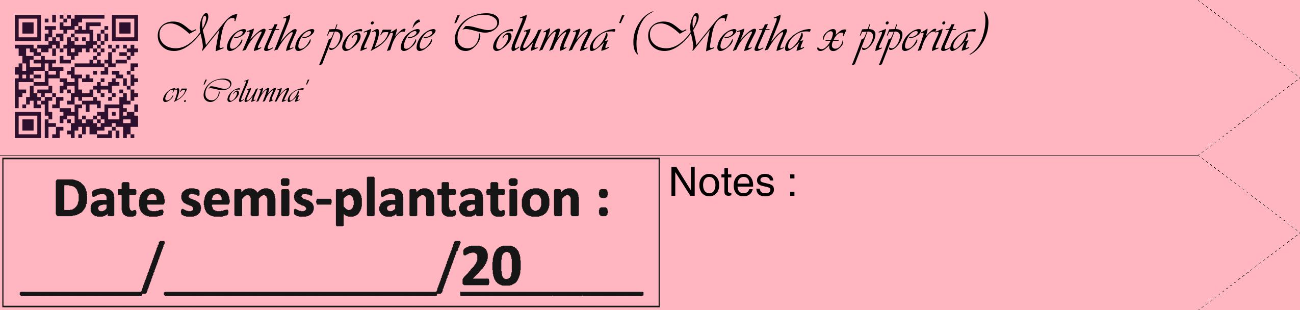 Étiquette de : Mentha x piperita cv. 'Columna' - format c - style noire41_simple_simpleviv avec qrcode et comestibilité