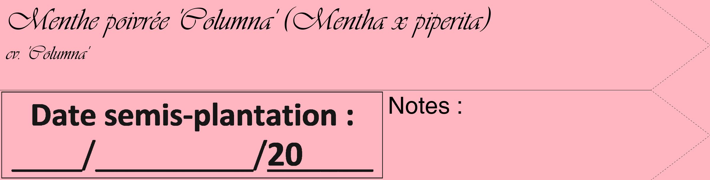 Étiquette de : Mentha x piperita cv. 'Columna' - format c - style noire41_simple_simpleviv avec comestibilité