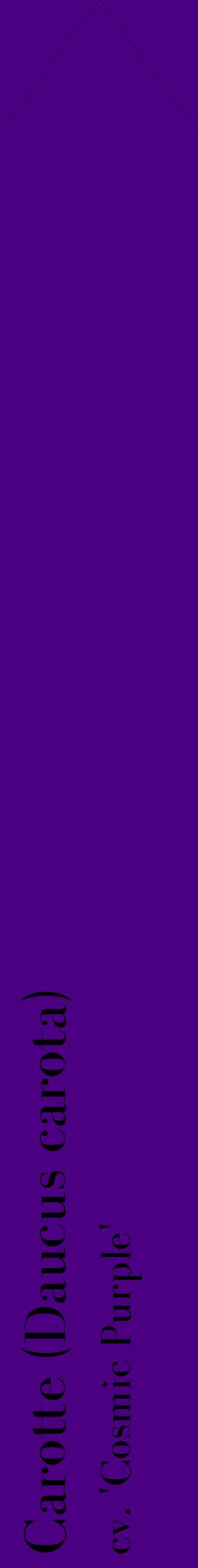 Étiquette de : Daucus carota cv. 'Cosmic Purple' - format c - style noire47_simplebod avec comestibilité
