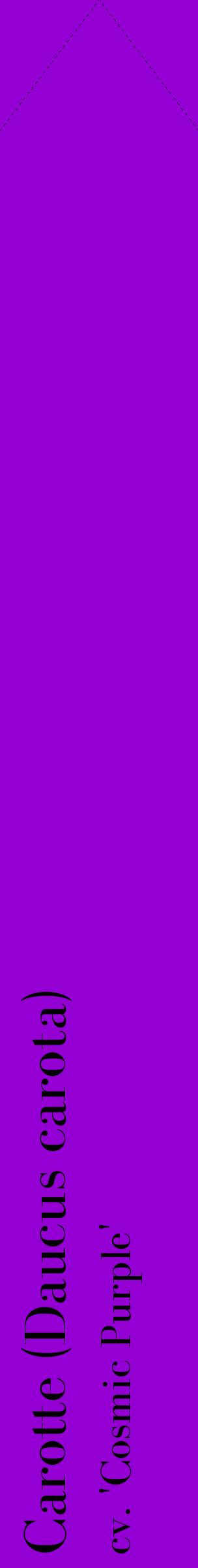 Étiquette de : Daucus carota cv. 'Cosmic Purple' - format c - style noire48_simplebod avec comestibilité