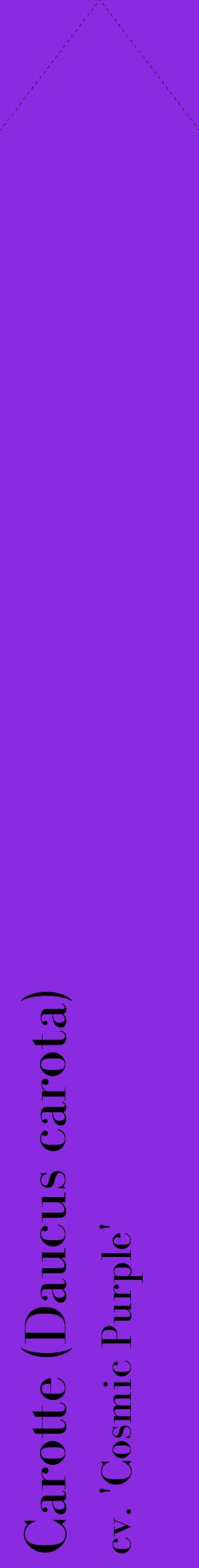 Étiquette de : Daucus carota cv. 'Cosmic Purple' - format c - style noire49_simplebod avec comestibilité