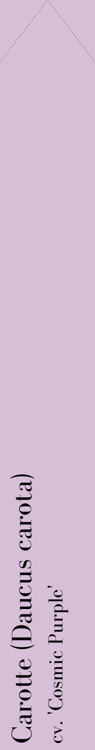 Étiquette de : Daucus carota cv. 'Cosmic Purple' - format c - style noire54_simplebod avec comestibilité