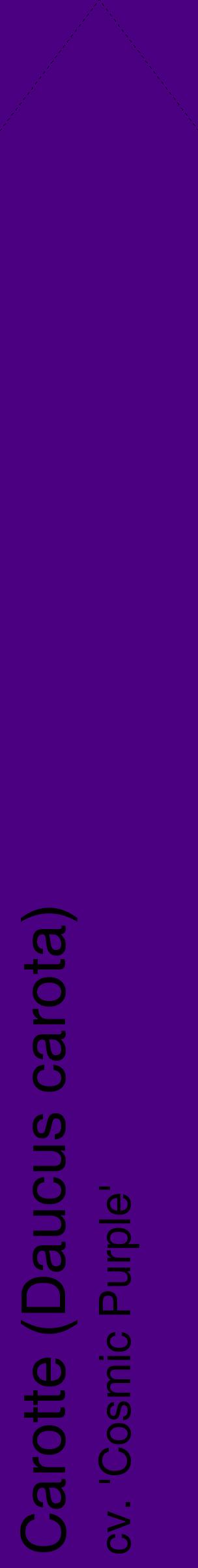 Étiquette de : Daucus carota cv. 'Cosmic Purple' - format c - style noire47_simplehel avec comestibilité