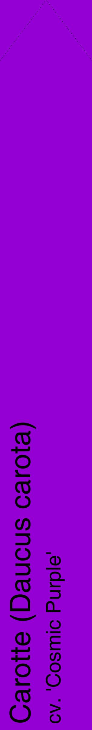 Étiquette de : Daucus carota cv. 'Cosmic Purple' - format c - style noire48_simplehel avec comestibilité