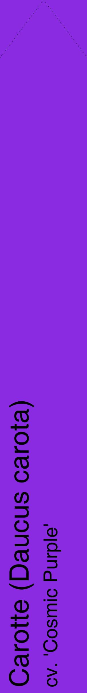 Étiquette de : Daucus carota cv. 'Cosmic Purple' - format c - style noire49_simplehel avec comestibilité