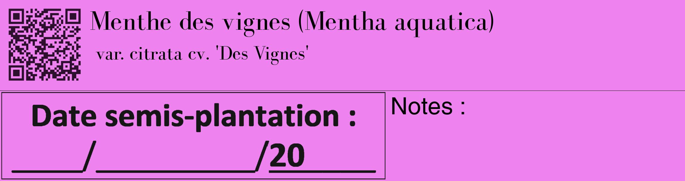 Étiquette de : Mentha aquatica var. citrata cv. 'Des Vignes' - format c - style noire53_basique_basiquebod avec qrcode et comestibilité