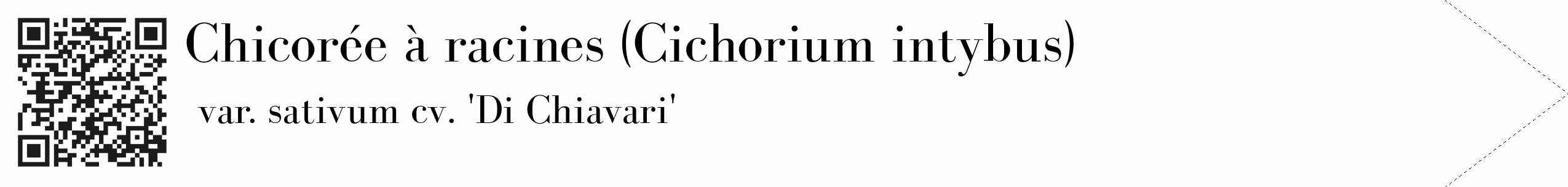 Étiquette de : Cichorium intybus var. sativum cv. 'Di Chiavari' - format c - style noire19_simple_simplebod avec qrcode et comestibilité