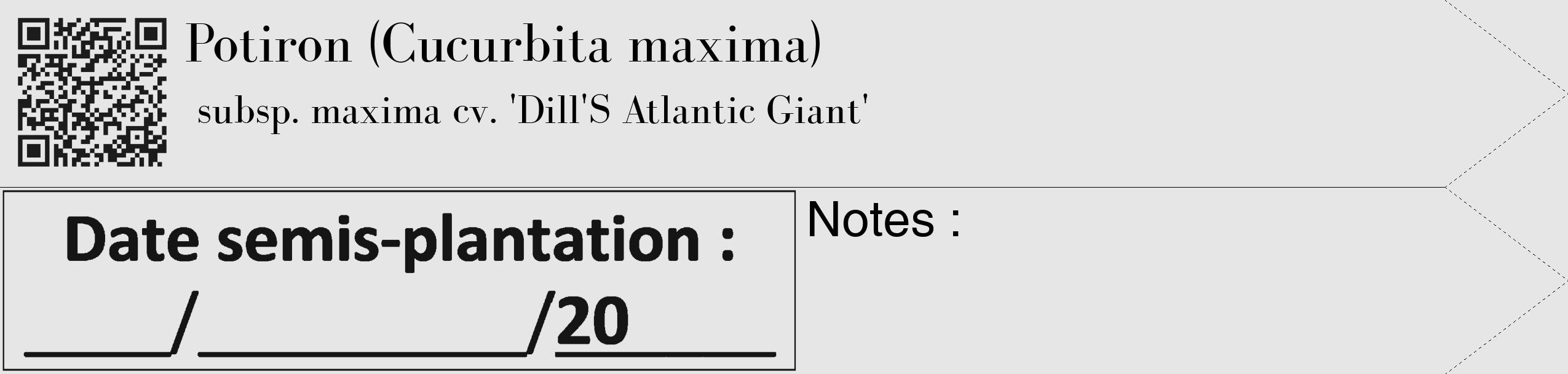 Étiquette de : Cucurbita maxima subsp. maxima cv. 'Dill'S Atlantic Giant' - format c - style noire18_simple_simplebod avec qrcode et comestibilité