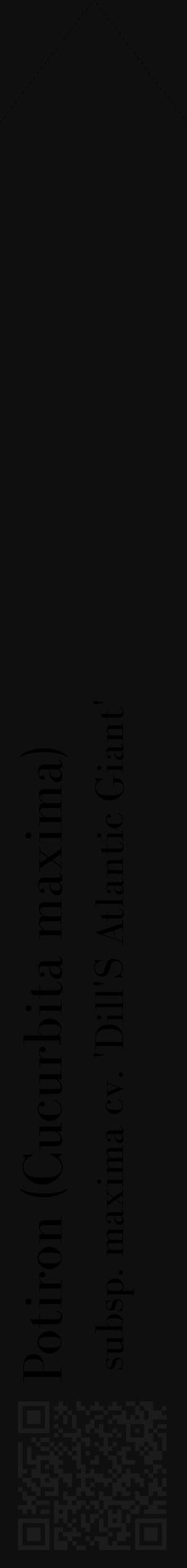 Étiquette de : Cucurbita maxima subsp. maxima cv. 'Dill'S Atlantic Giant' - format c - style noire7_simple_simplebod avec qrcode et comestibilité - position verticale