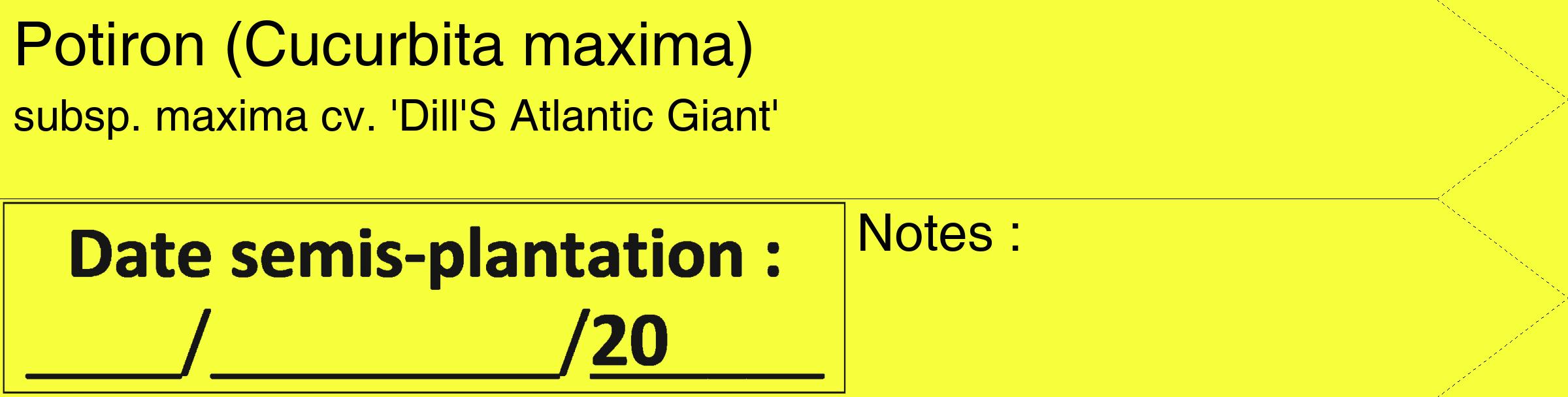 Étiquette de : Cucurbita maxima subsp. maxima cv. 'Dill'S Atlantic Giant' - format c - style noire18_simple_simplehel avec comestibilité