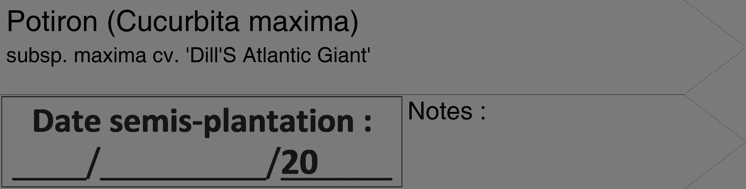 Étiquette de : Cucurbita maxima subsp. maxima cv. 'Dill'S Atlantic Giant' - format c - style noire3_simple_simplehel avec comestibilité