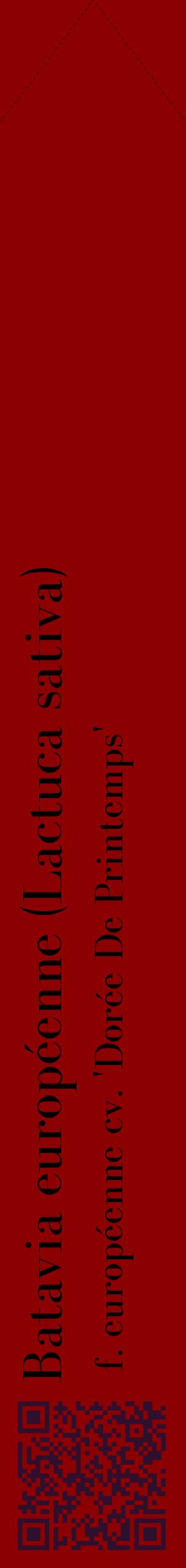 Étiquette de : Lactuca sativa f. européenne cv. 'Dorée De Printemps' - format c - style noire34_simplebod avec qrcode et comestibilité