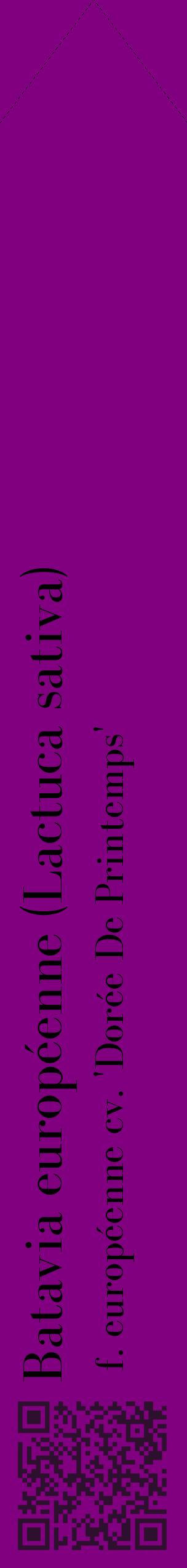 Étiquette de : Lactuca sativa f. européenne cv. 'Dorée De Printemps' - format c - style noire46_simplebod avec qrcode et comestibilité