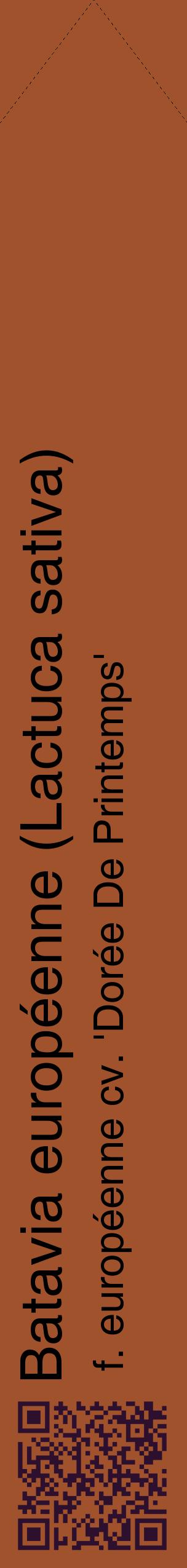 Étiquette de : Lactuca sativa f. européenne cv. 'Dorée De Printemps' - format c - style noire32_simplehel avec qrcode et comestibilité
