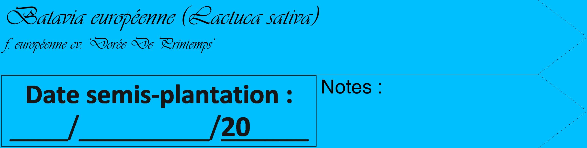 Étiquette de : Lactuca sativa f. européenne cv. 'Dorée De Printemps' - format c - style noire2_simple_simpleviv avec comestibilité