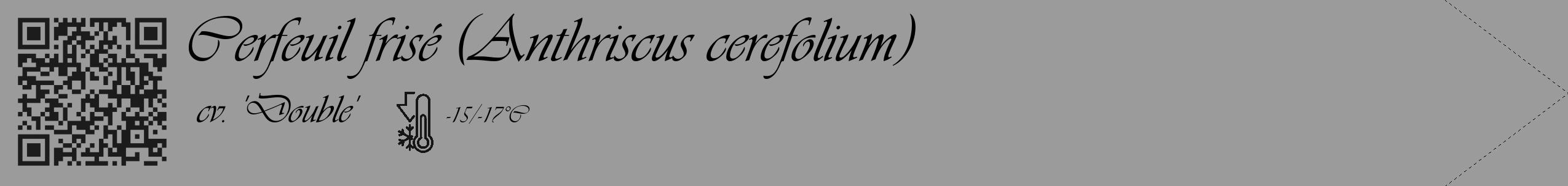 Étiquette de : Anthriscus cerefolium cv. 'Double' - format c - style noire52_simple_simpleviv avec qrcode et comestibilité