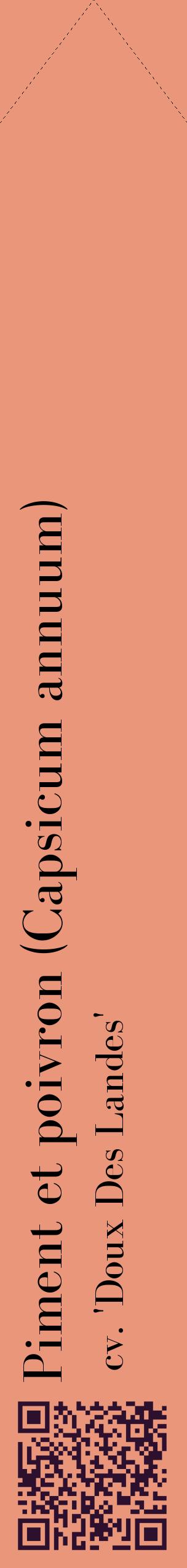 Étiquette de : Capsicum annuum cv. 'Doux Des Landes' - format c - style noire37_simplebod avec qrcode et comestibilité