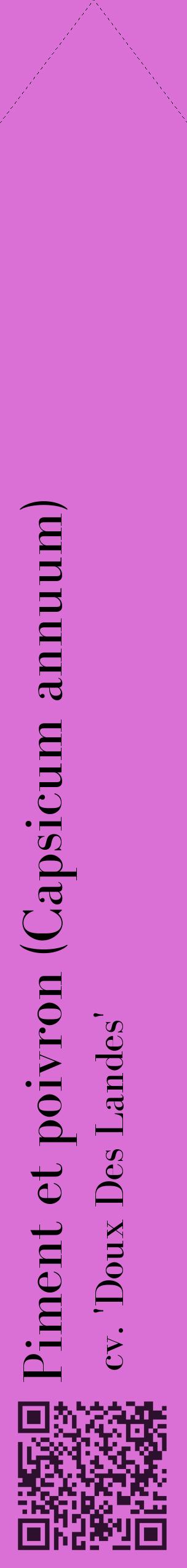 Étiquette de : Capsicum annuum cv. 'Doux Des Landes' - format c - style noire52_simplebod avec qrcode et comestibilité