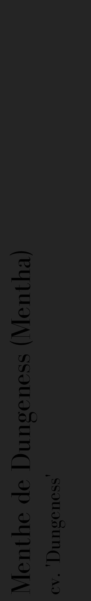 Étiquette de : Mentha cv. 'Dungeness' - format c - style noire47_basique_basiquebod avec comestibilité - position verticale