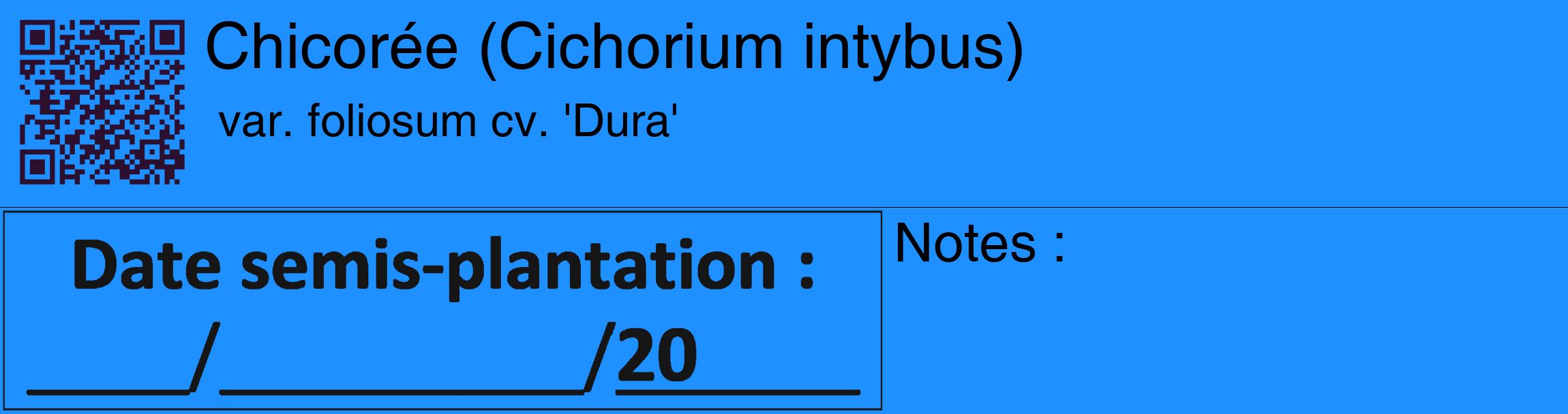 Étiquette de : Cichorium intybus var. foliosum cv. 'Dura' - format c - style noire3_basique_basiquehel avec qrcode et comestibilité