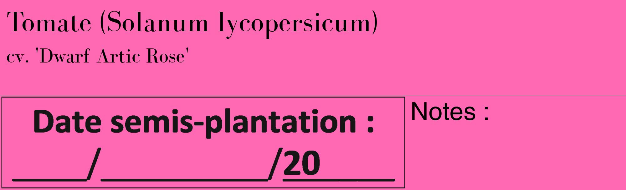 Étiquette de : Solanum lycopersicum cv. 'Dwarf Artic Rose' - format c - style noire42_basique_basiquebod avec comestibilité