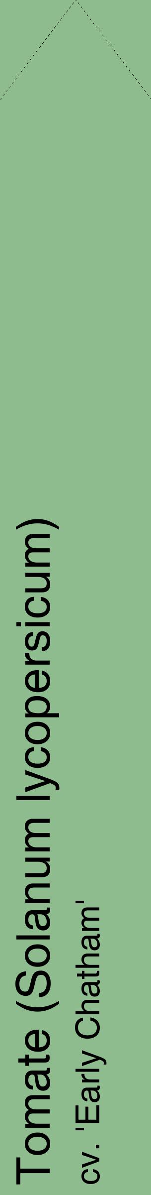 Étiquette de : Solanum lycopersicum cv. 'Early Chatham' - format c - style noire13_simplehel avec comestibilité