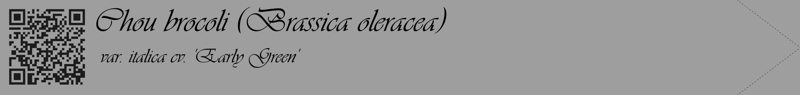 Étiquette de : Brassica oleracea var. italica cv. 'Early Green' - format c - style noire42_simple_simpleviv avec qrcode et comestibilité